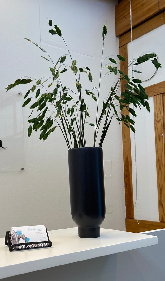 Chasmantum TORRDECOR