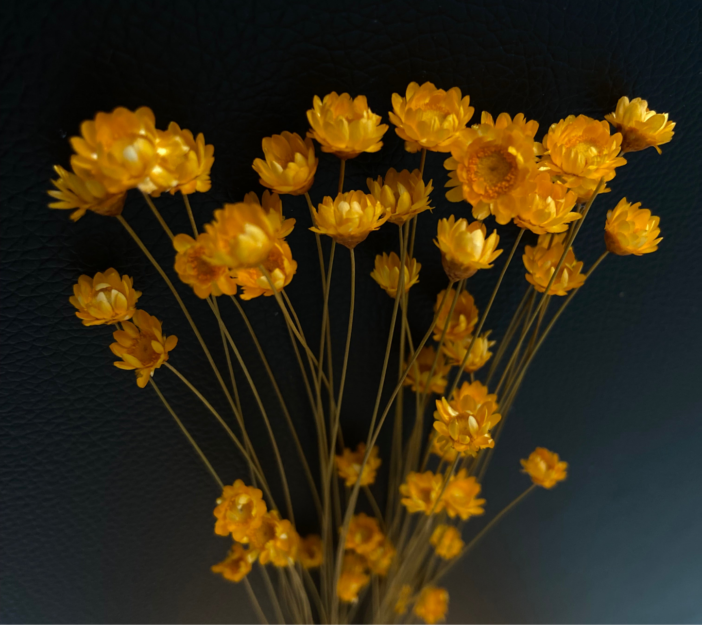 Torkade småblommor TORRDECOR
