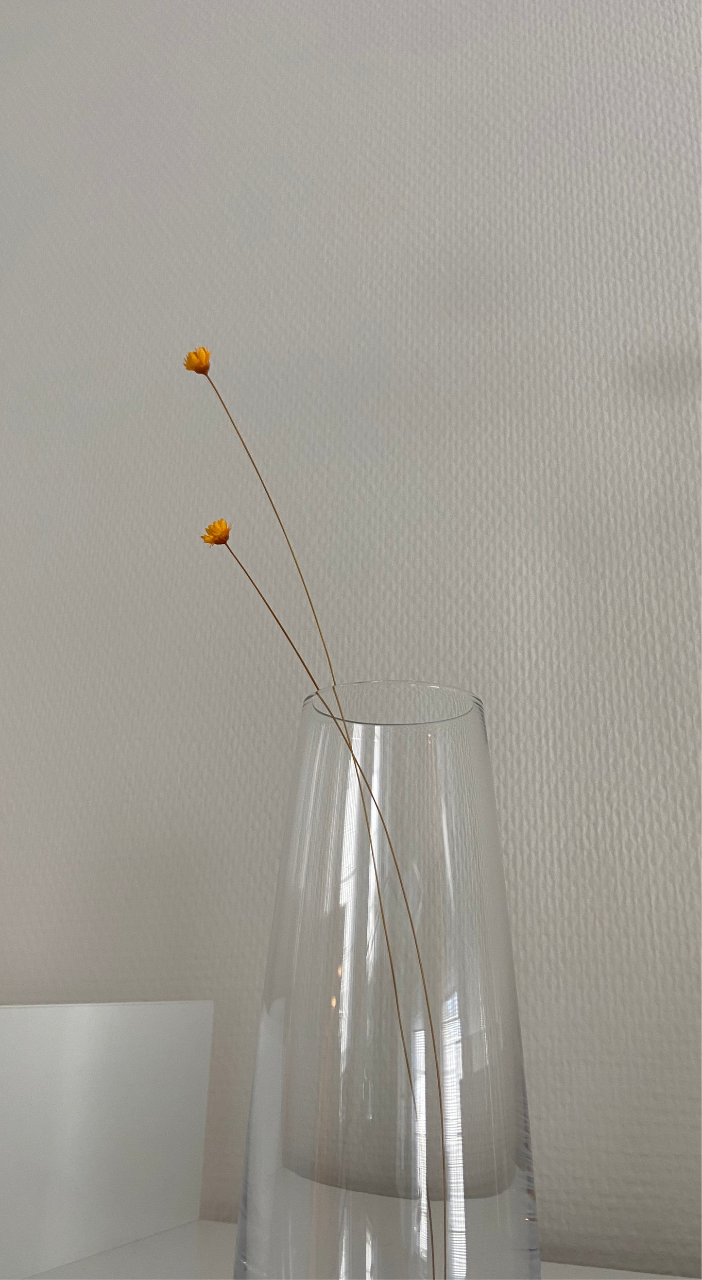 Torkade småblommor TORRDECOR