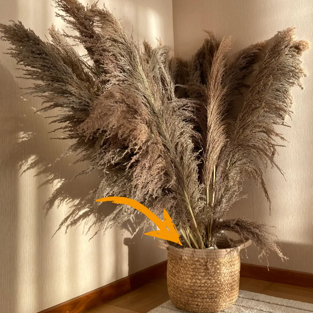 Vas ’BÅGE’ cream TORRDECOR