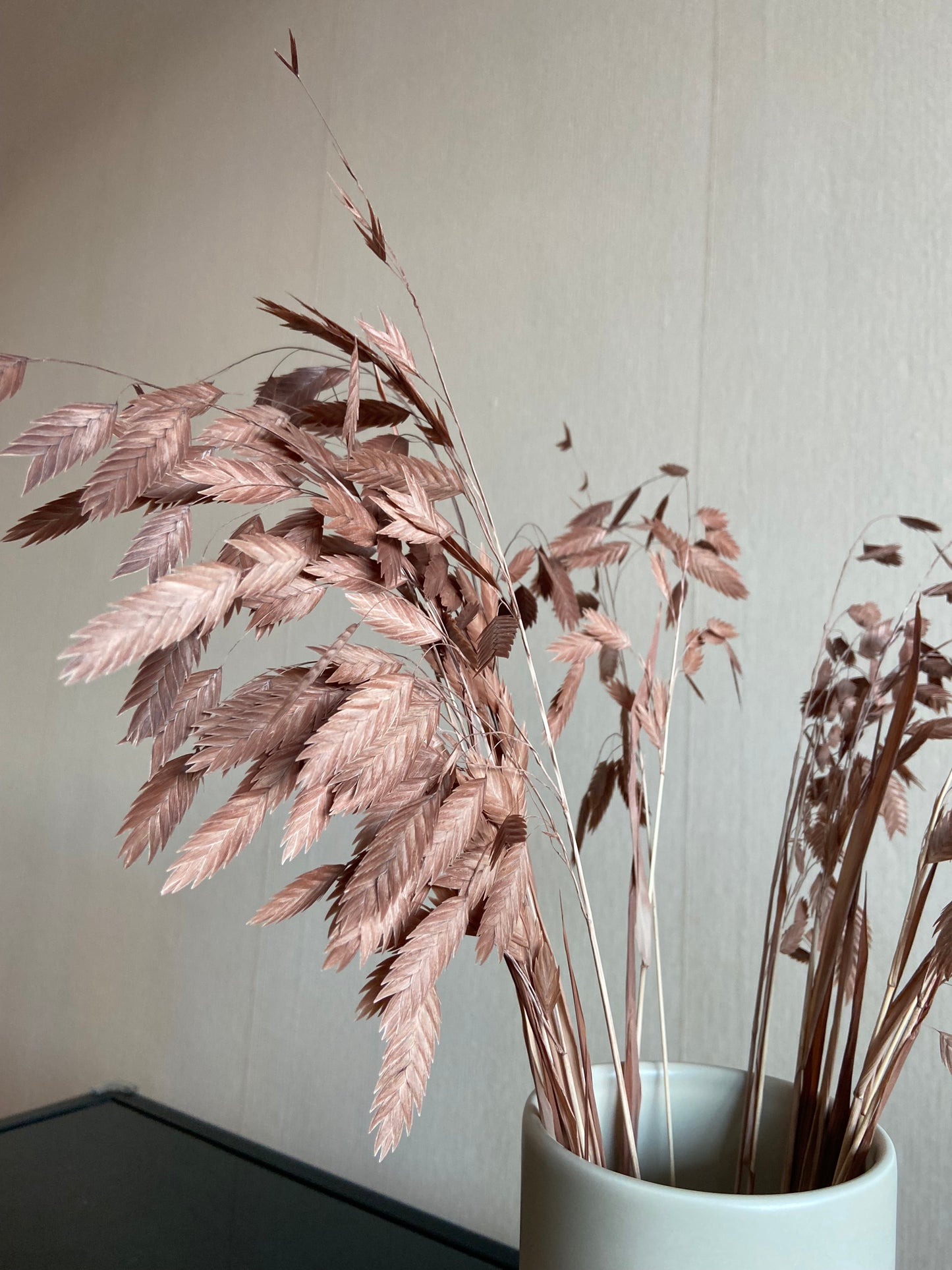 Torkad Chasmanthium – LATTE TORRDECOR
