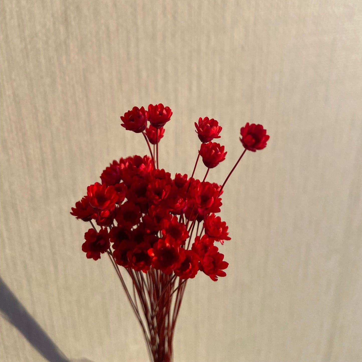 Torkade småblommor TORRDECOR