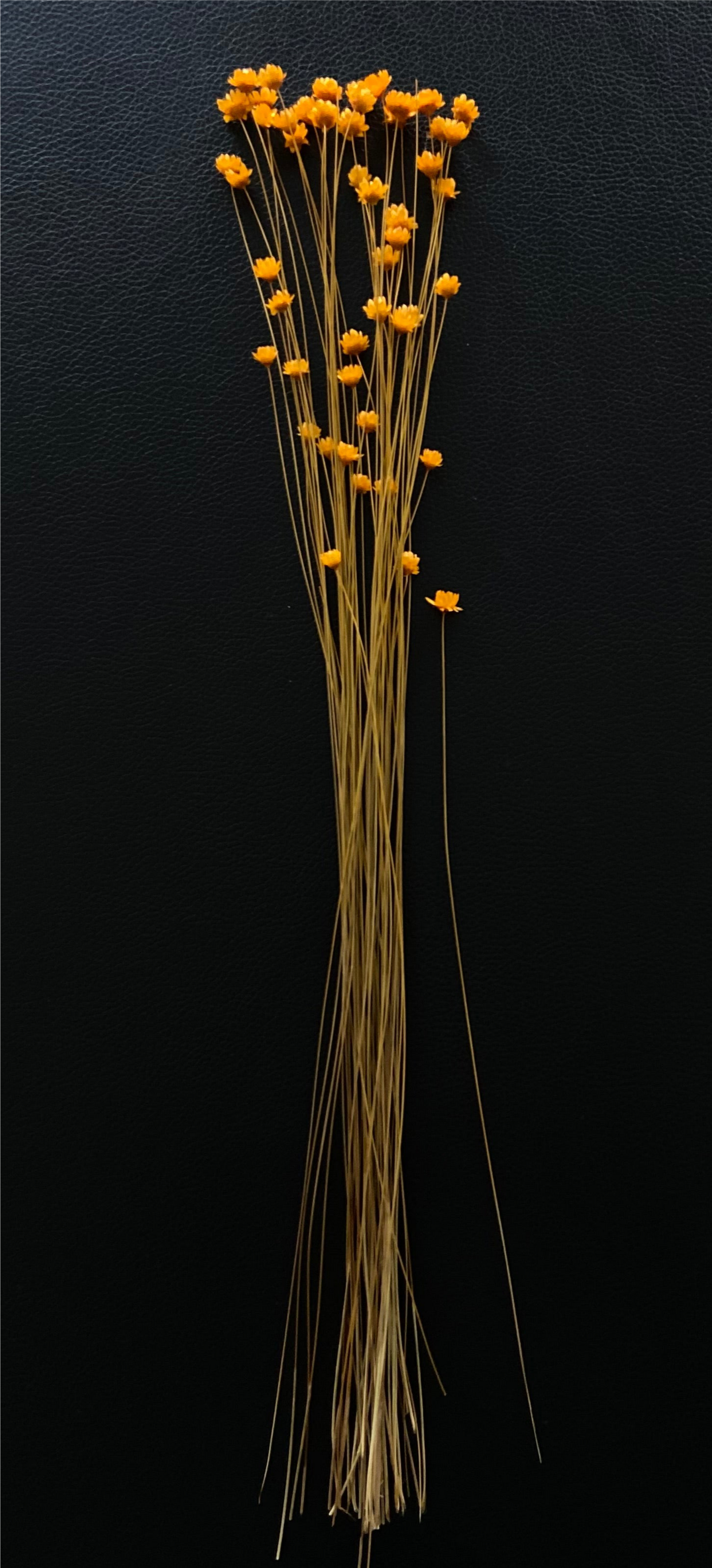 Torkade småblommor TORRDECOR