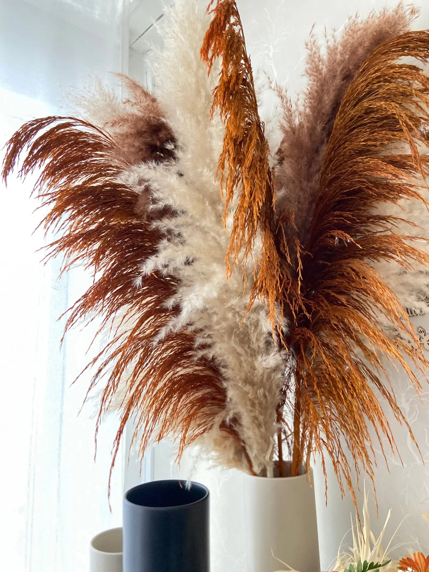 Pampas ’VILDA’ Höst -5pack TORRDECOR