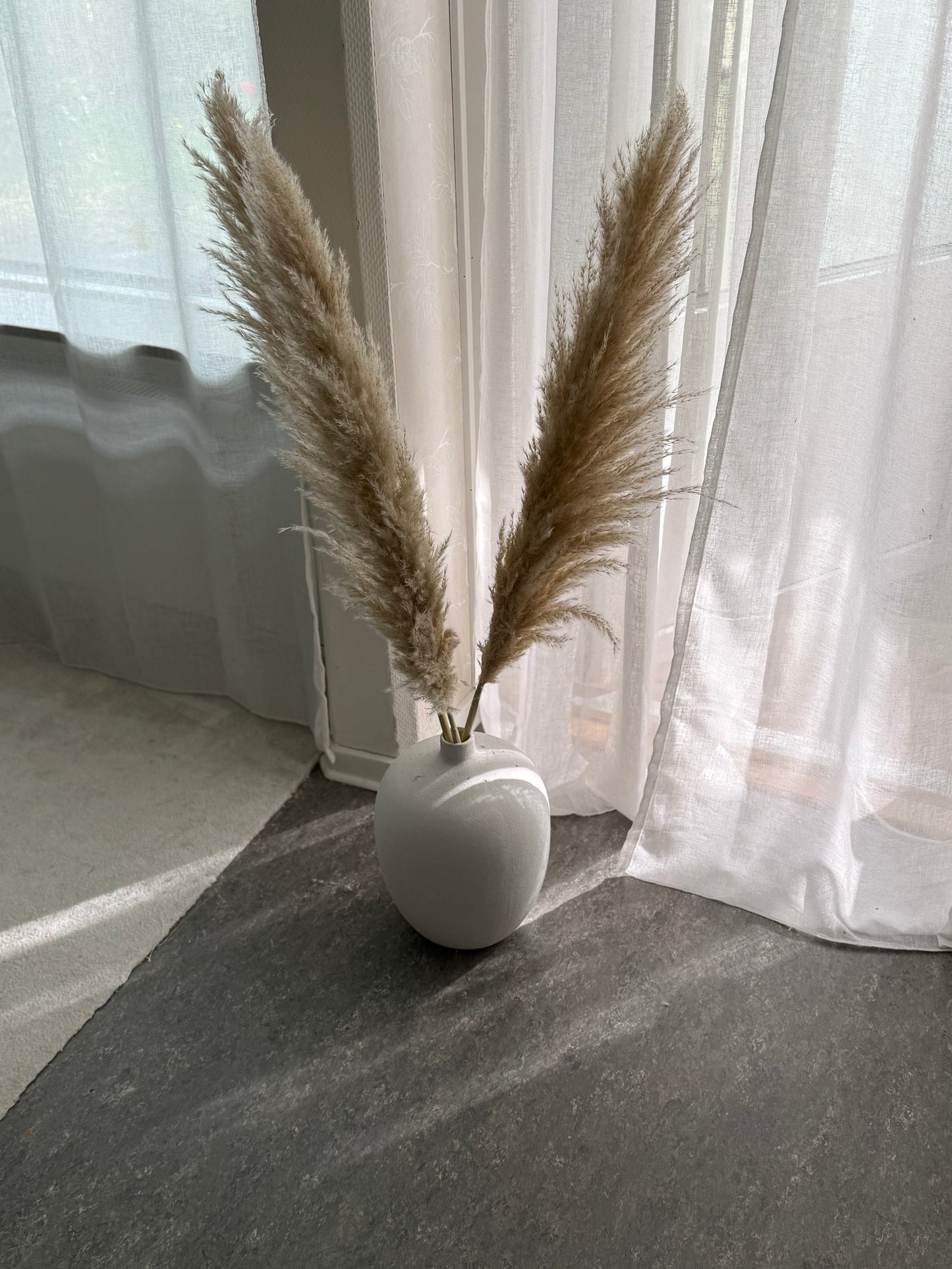 Pampas 110cm