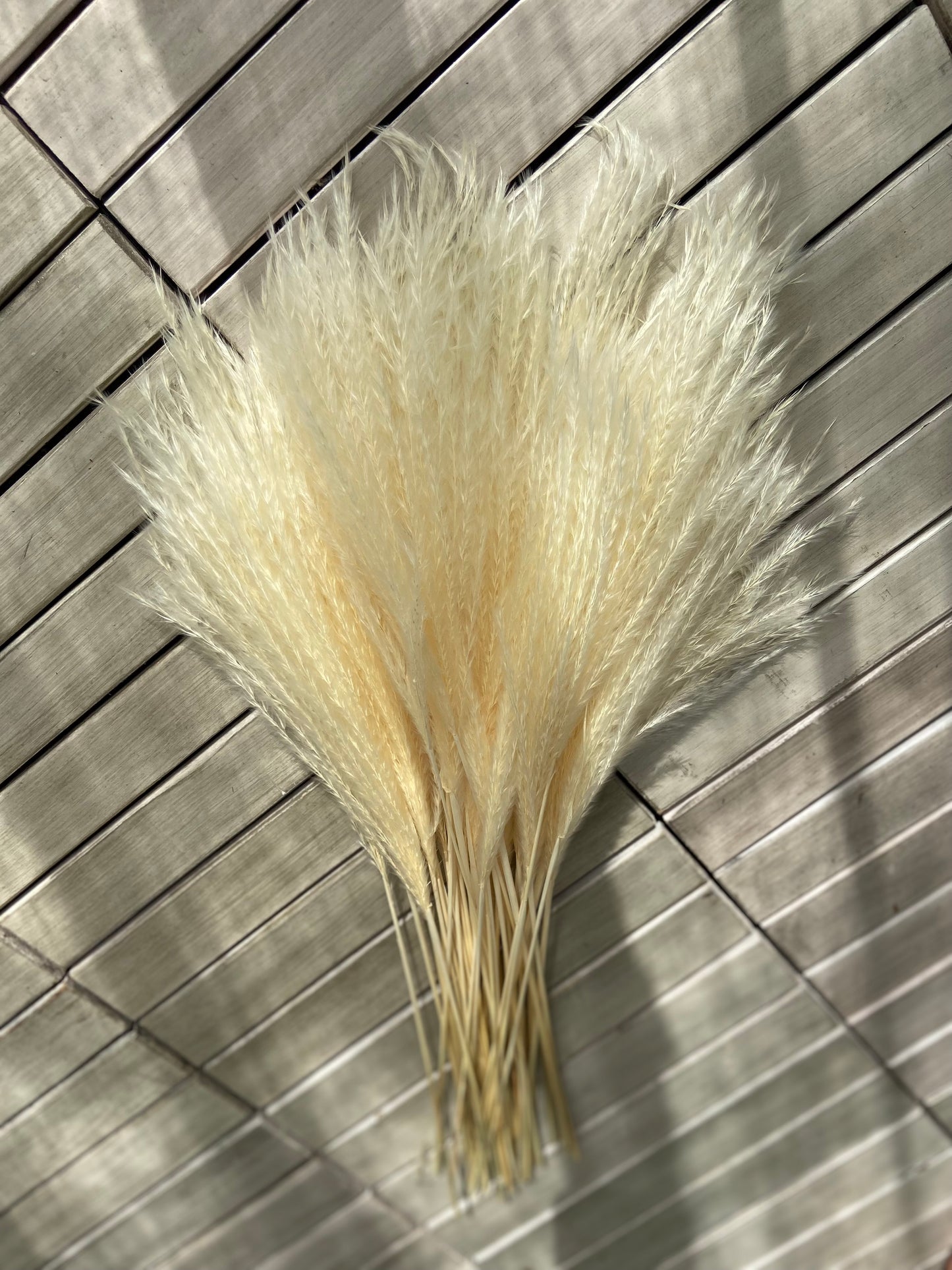 Vass (Blonde) 50-pack
