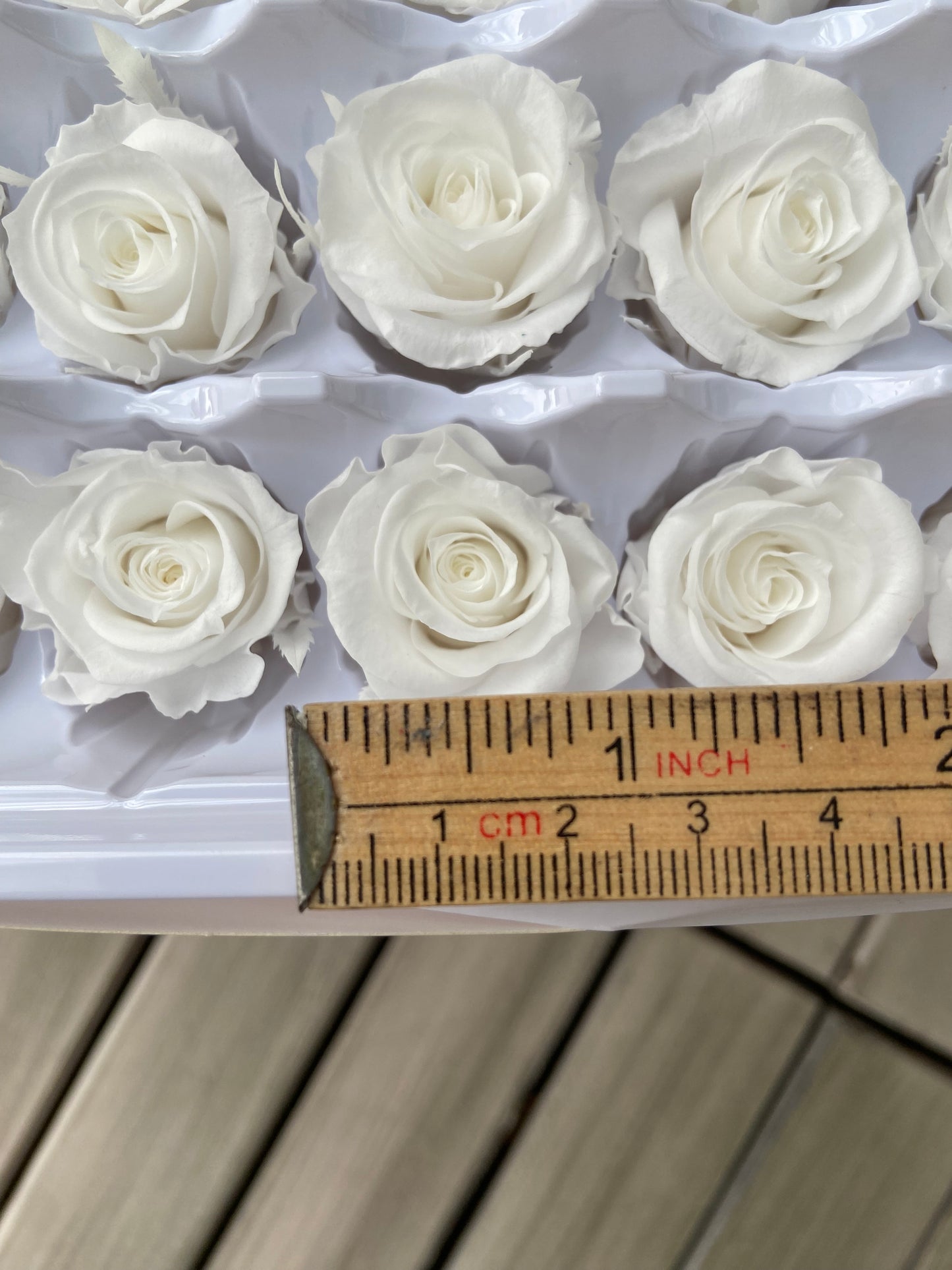 Evighetsrosor 21-pack - TORRDECOR
