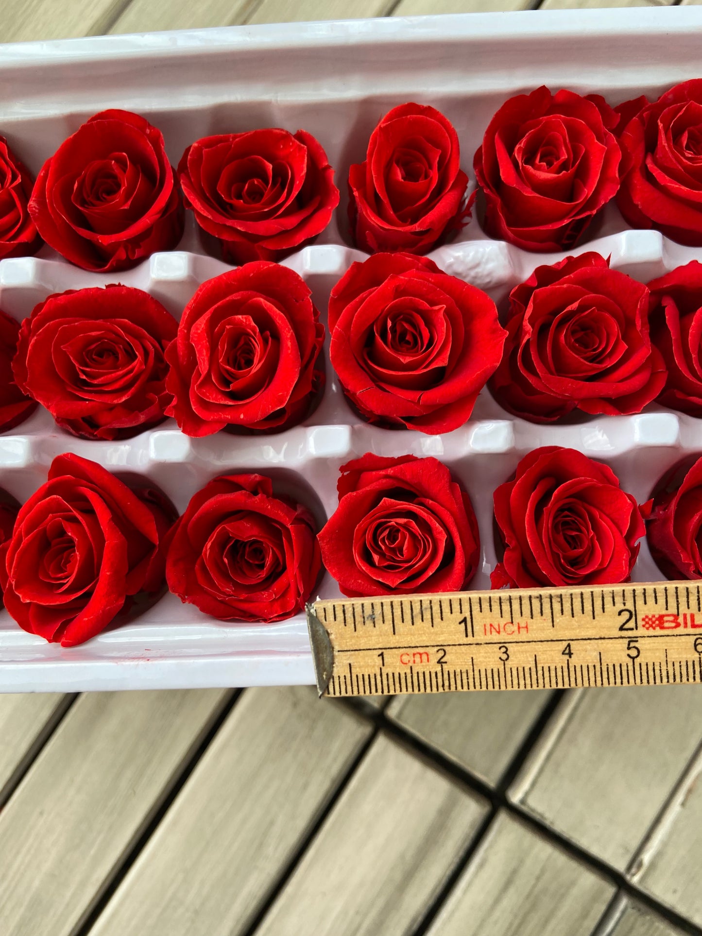 Evighetsrosor 21-pack