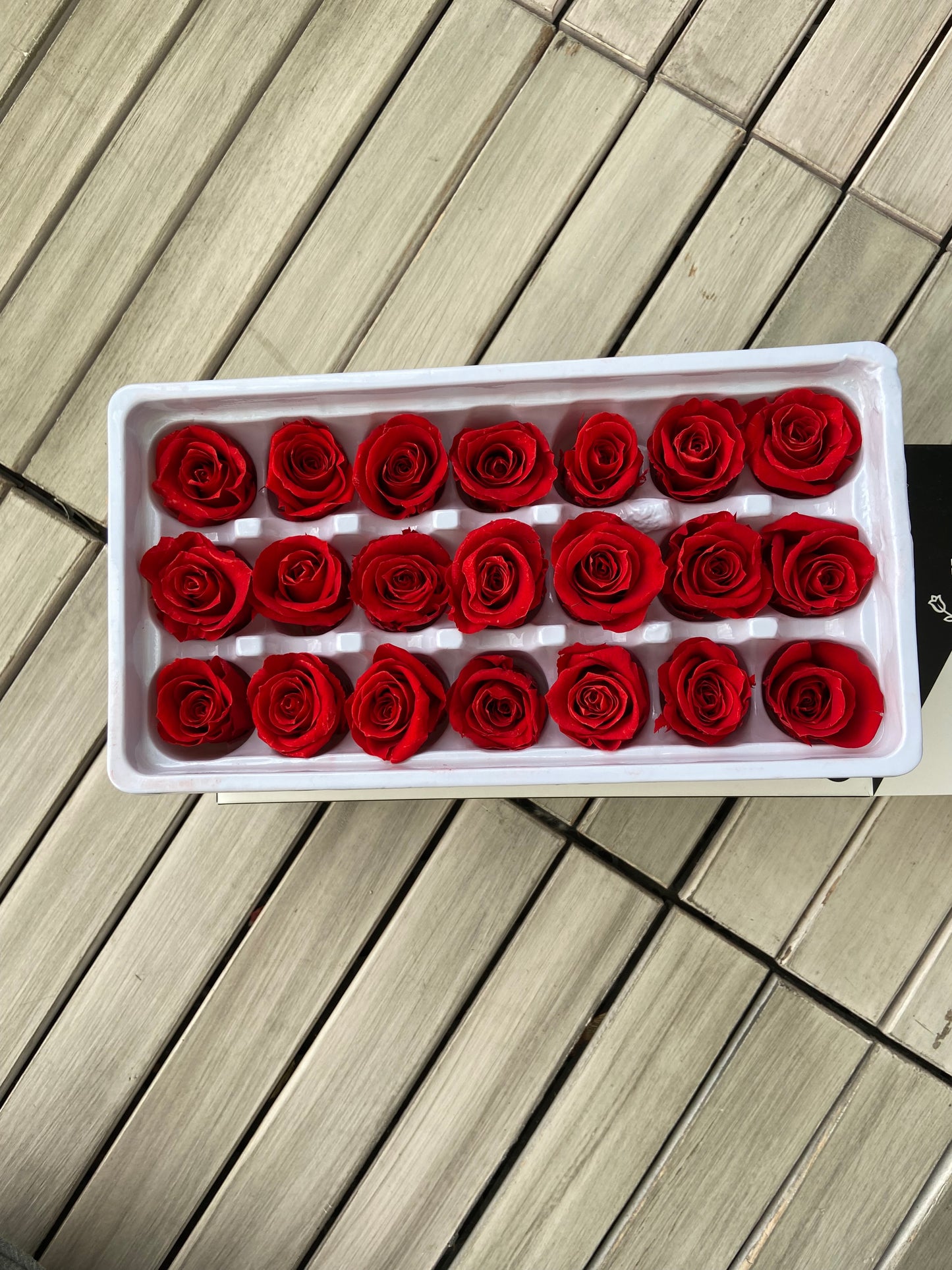 Evighetsrosor 21-pack - TORRDECOR
