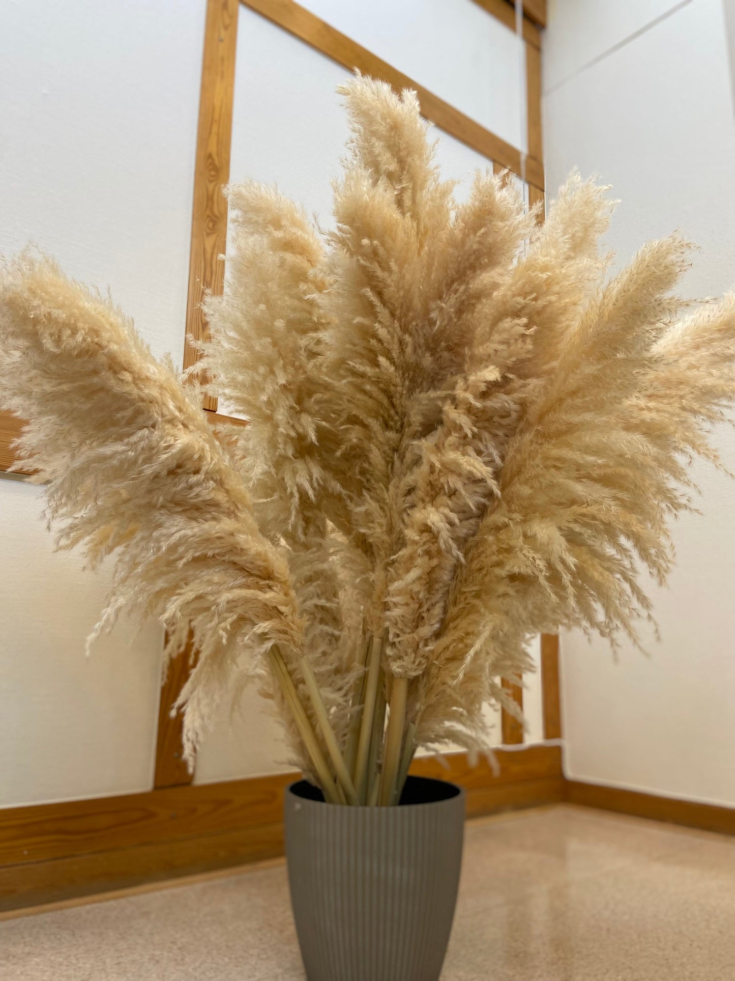 Pampas 110cm TORRDECOR