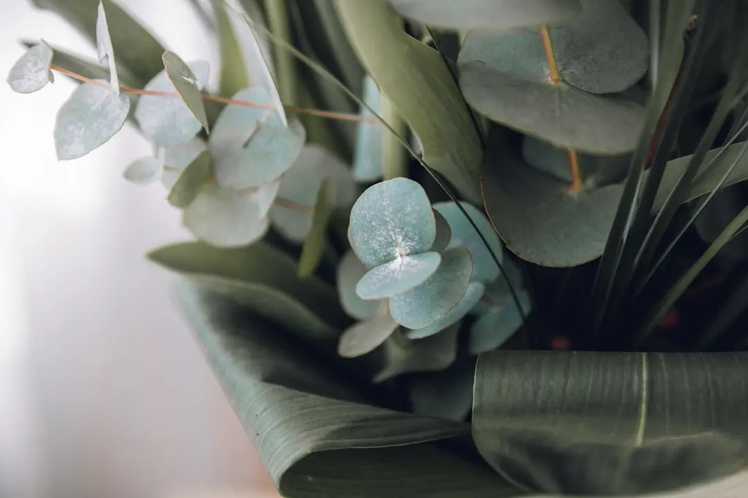 Torkade blommor: hållbar inredning och smarta dekorationsval Torrdecor