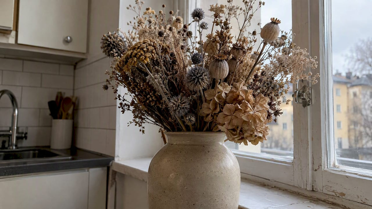 Torkade blommor med dammsamling på fönsterbrädan