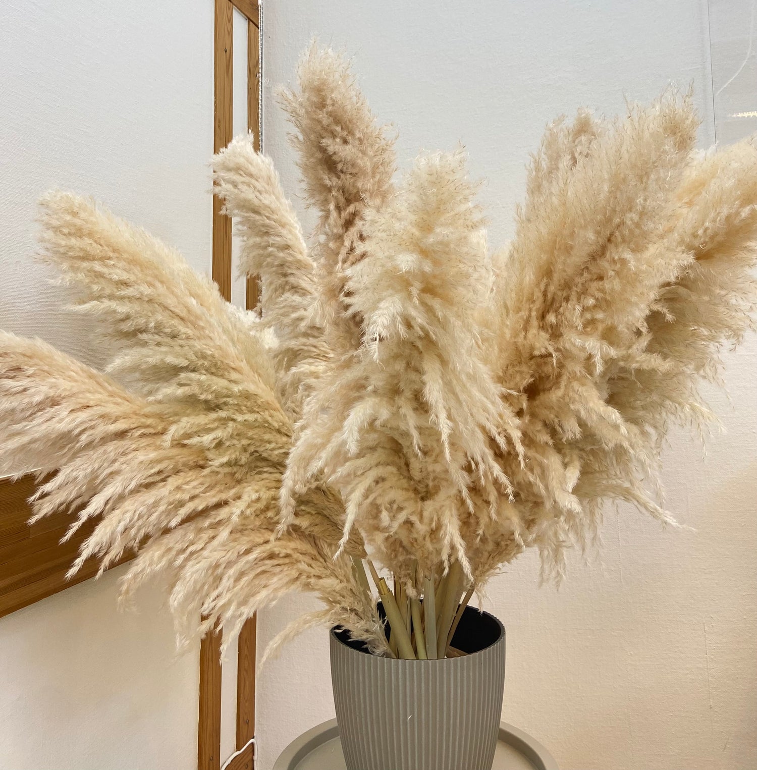 Pampas TORRDECOR