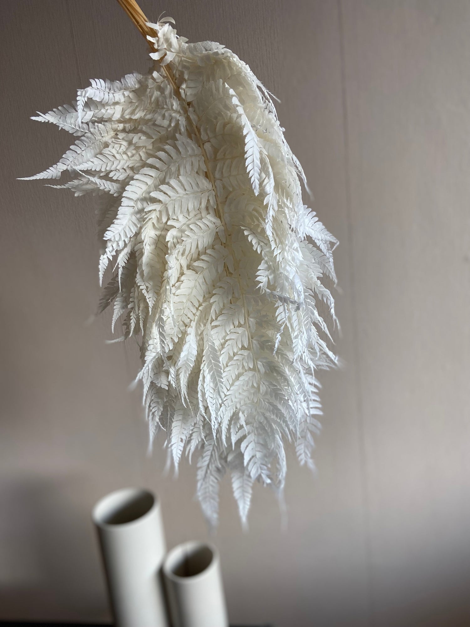 Säsongens-produkter TORRDECOR