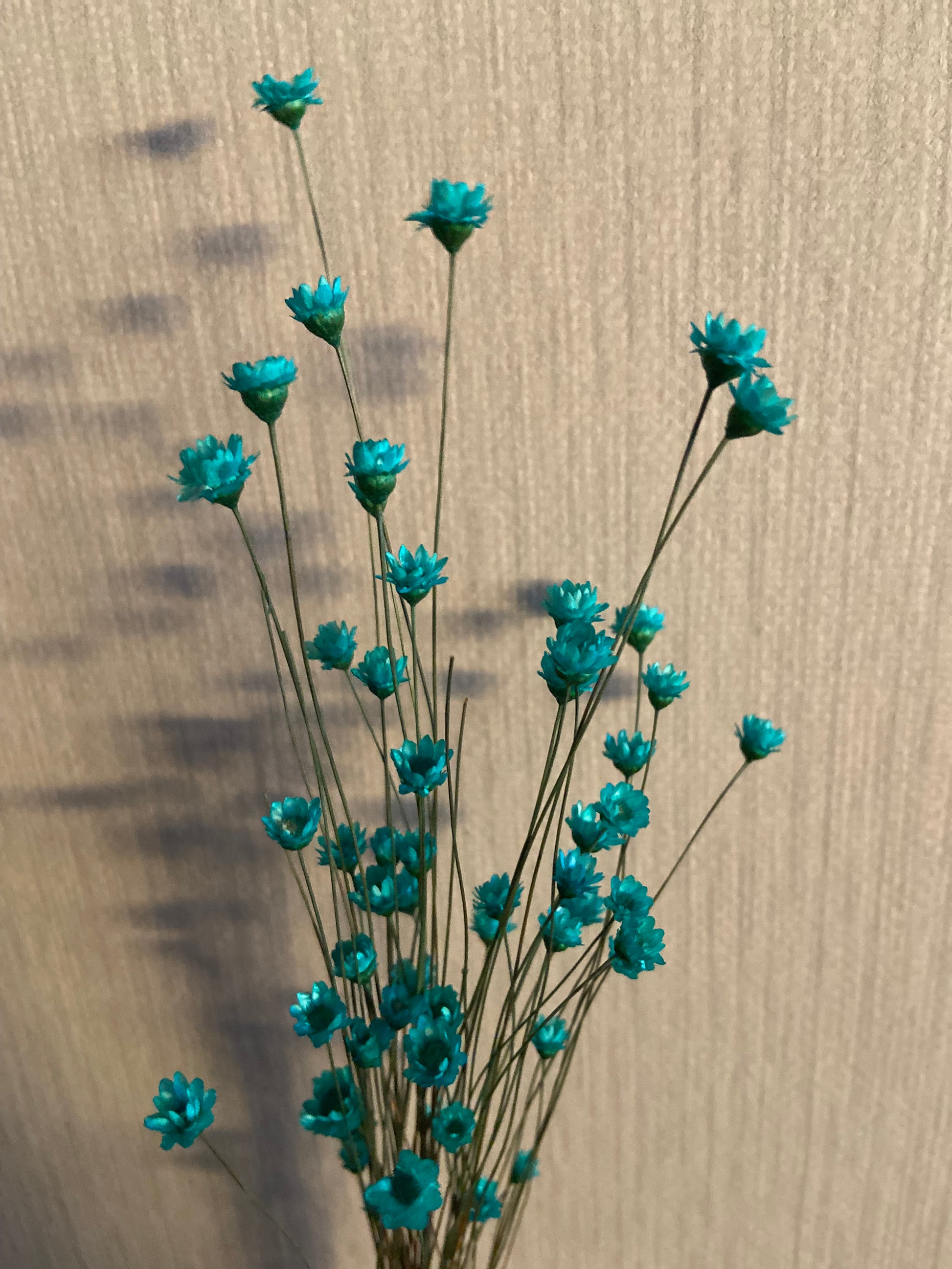 Torkade småblommor TORRDECOR