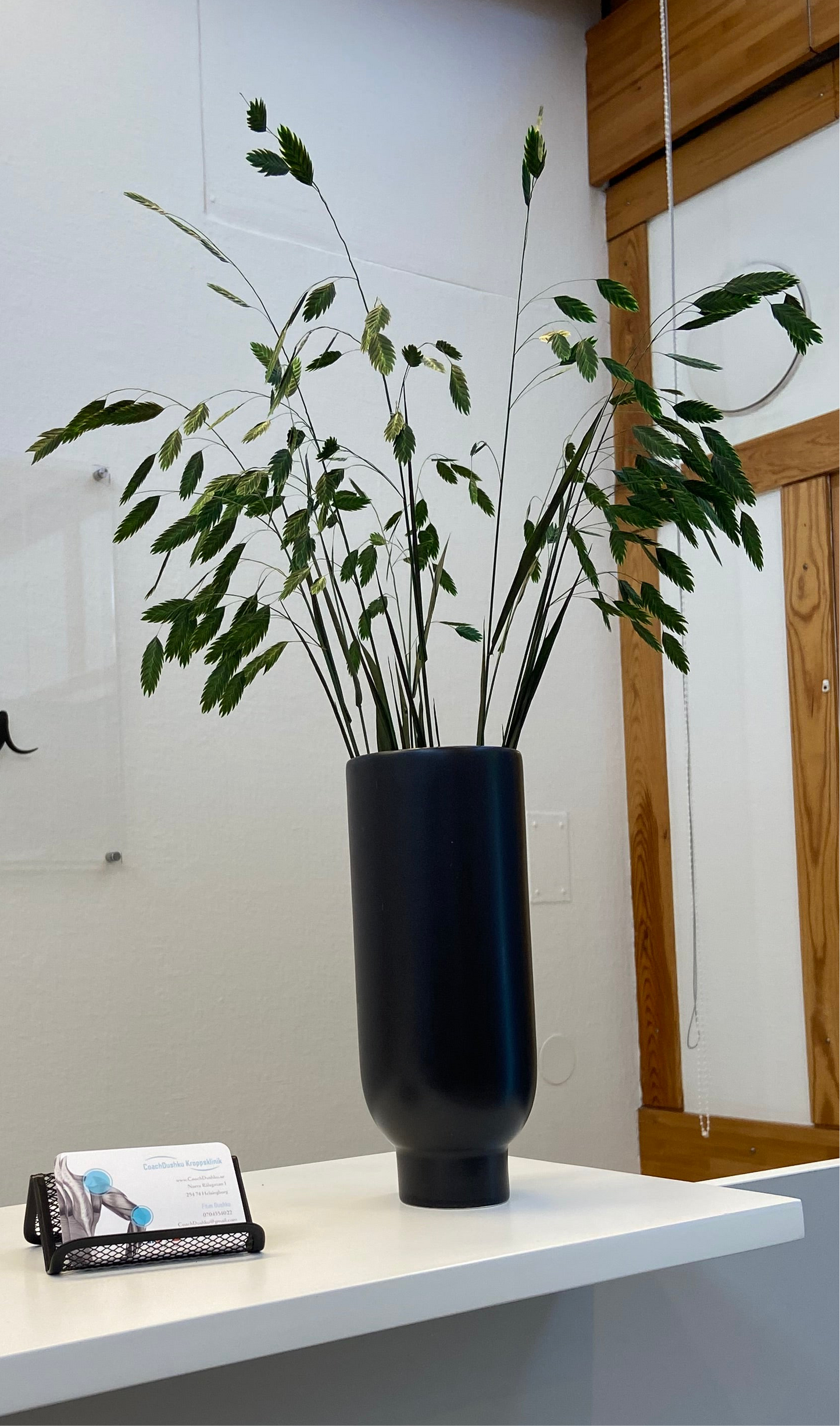 Chasmantum TORRDECOR