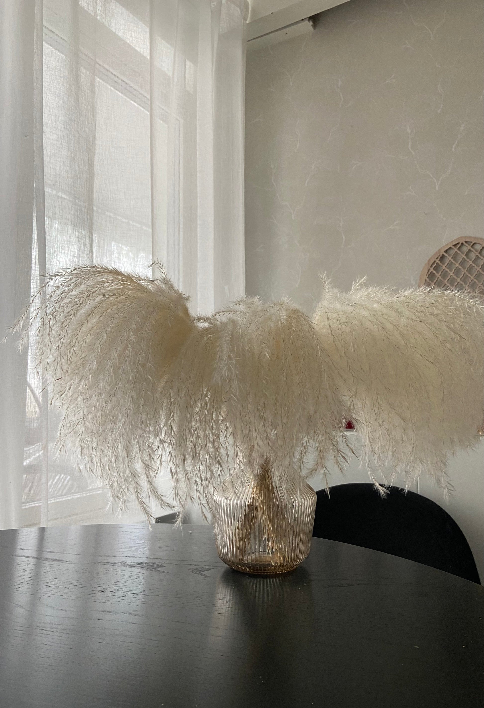Vass (Blonde) 50-pack TORRDECOR
