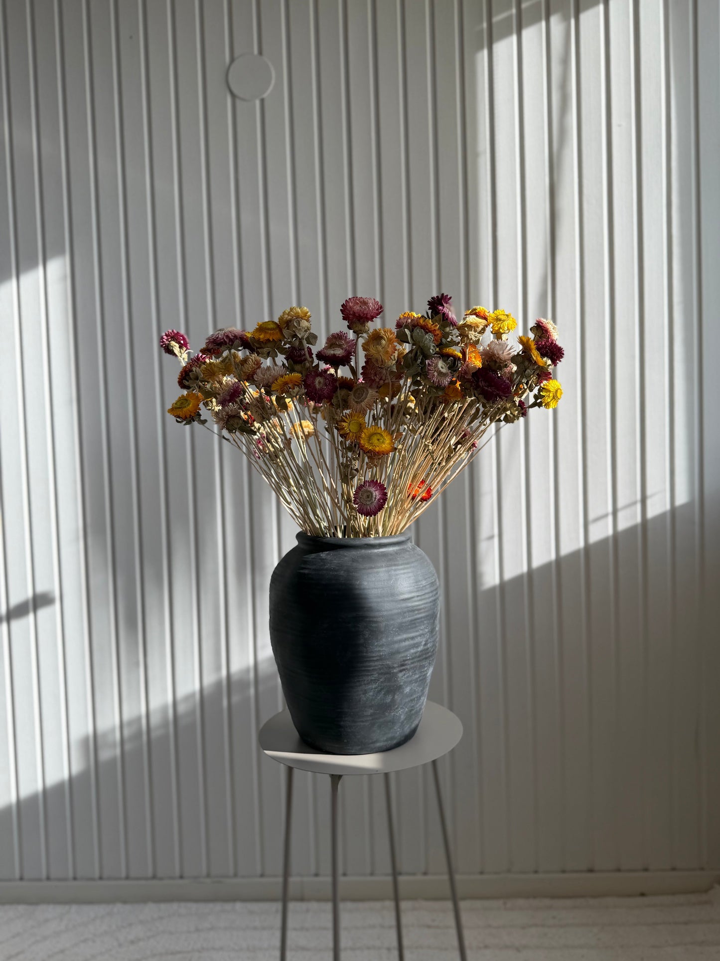 Storbunt torkad Krysantemum - 100st Torrdecor