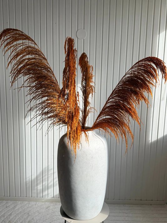 Pampas ’VILDA’ Höst -5pack TORRDECOR