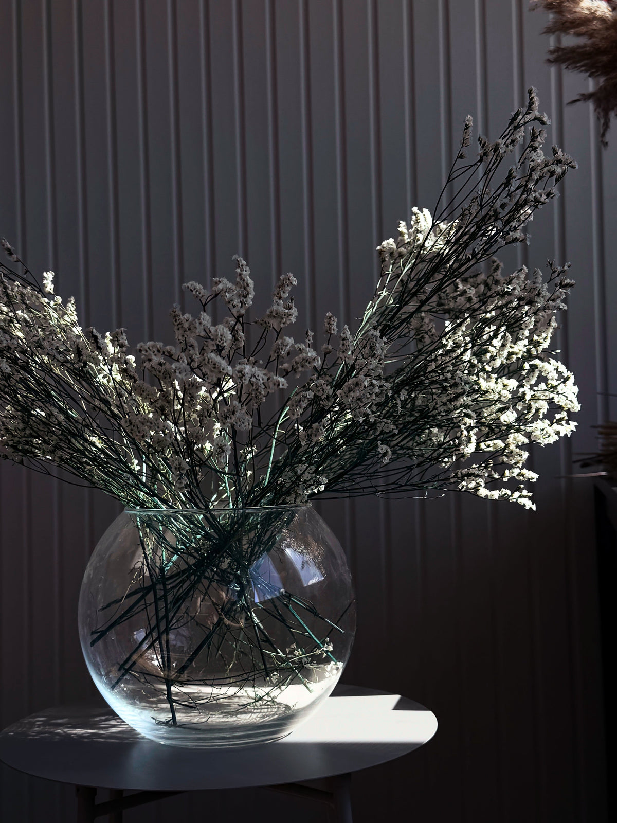Torkad Limonium Torrdecor