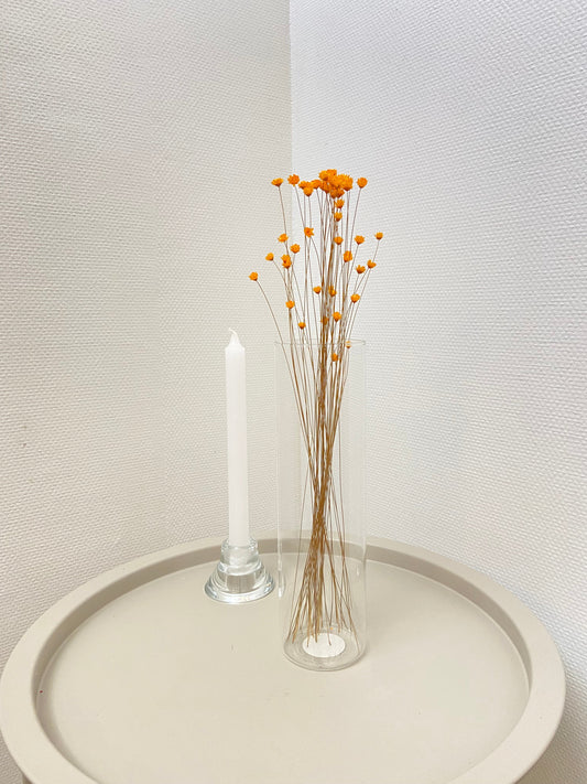 Torkade småblommor TORRDECOR