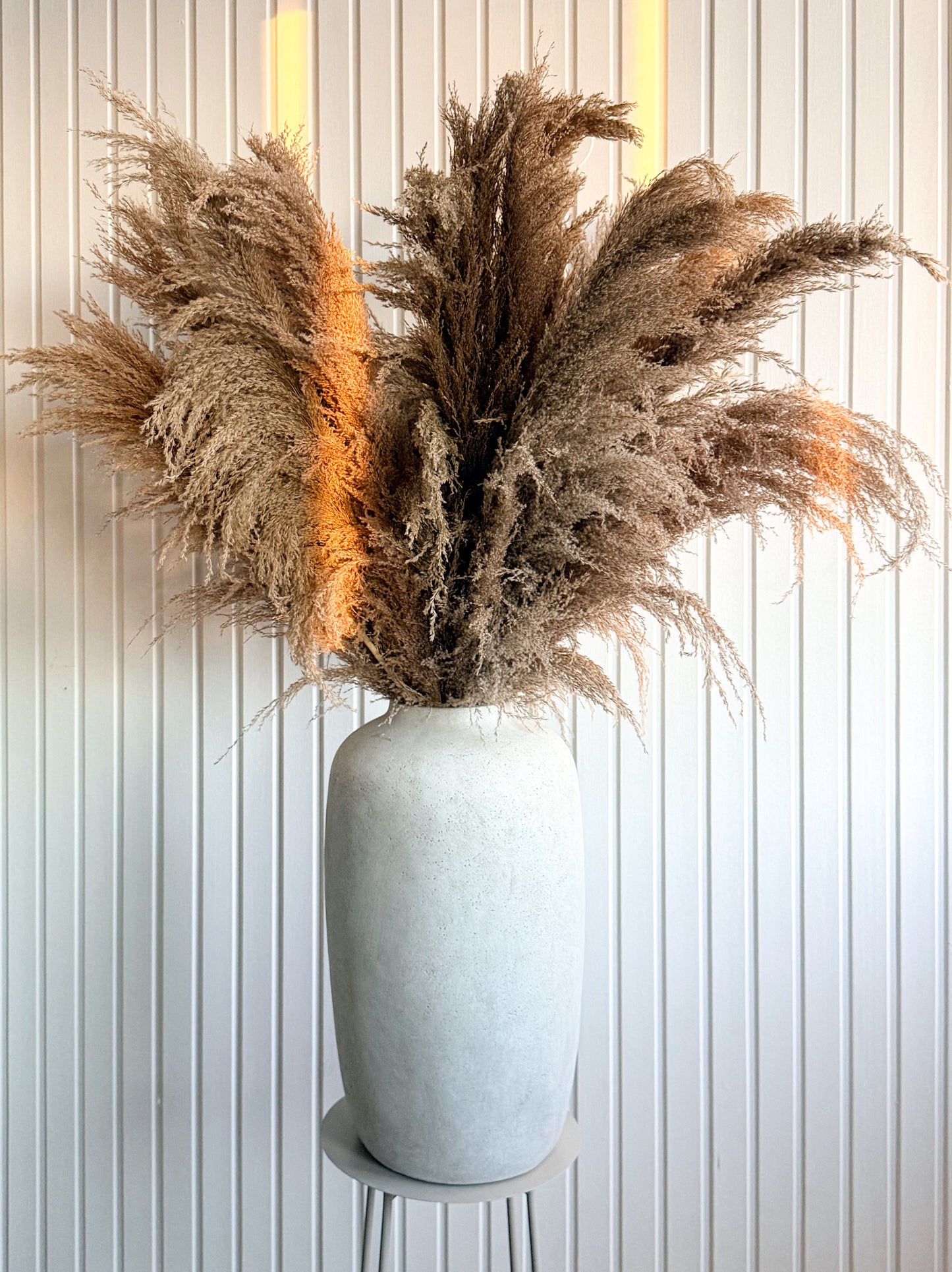 Pampas ’VILDA’ TORRDECOR