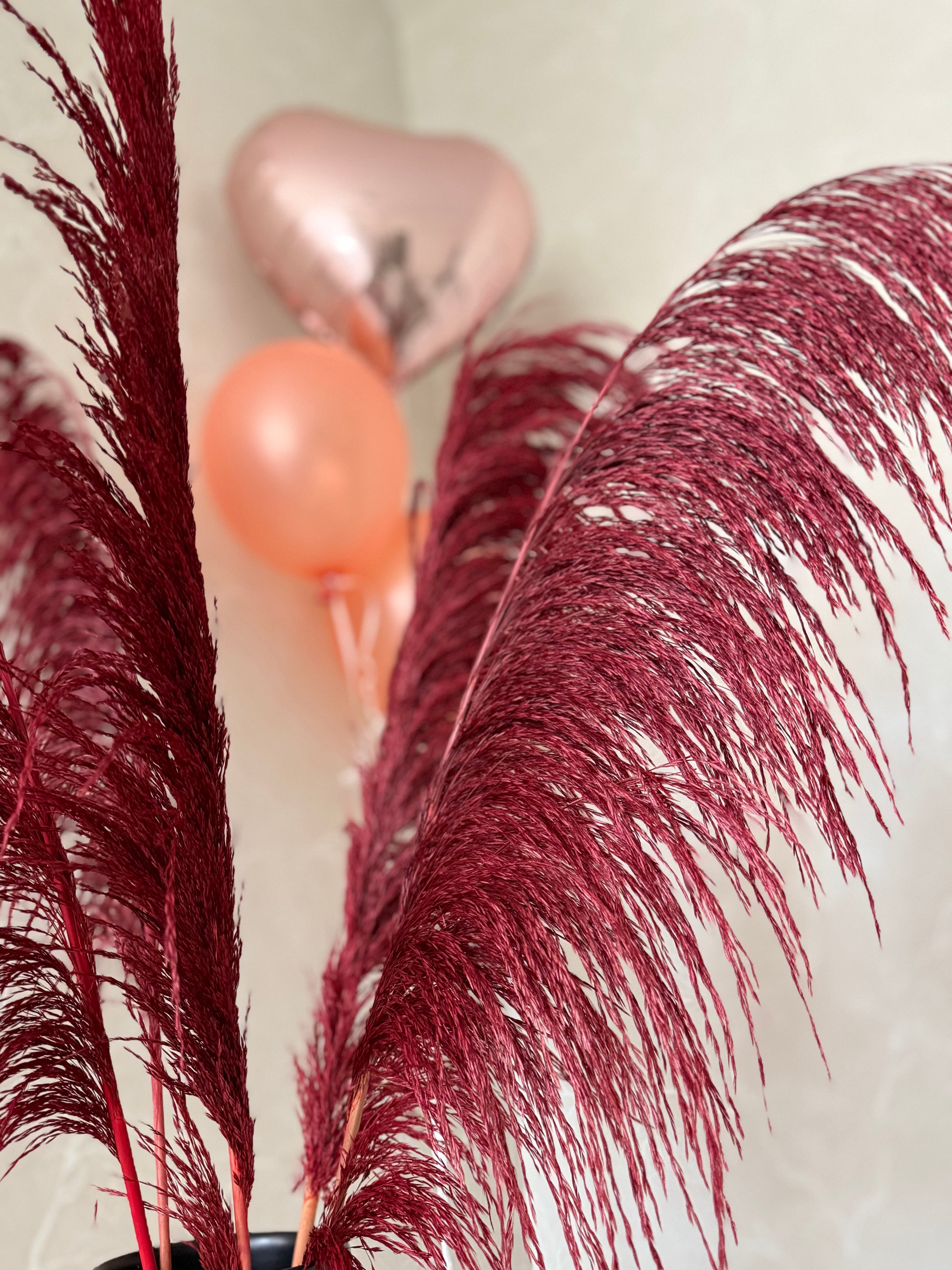 Pampas ’VILDA’ TORRDECOR