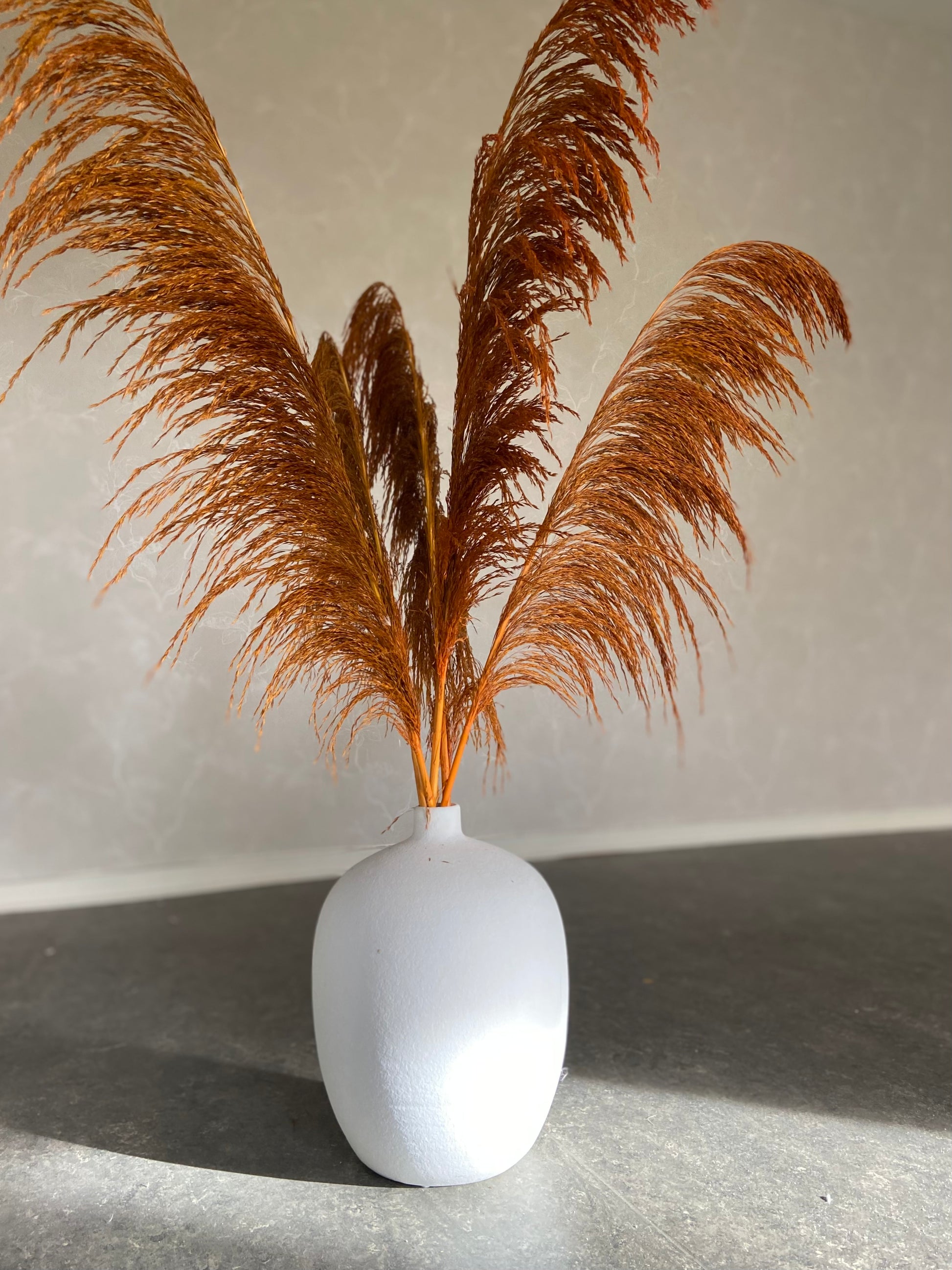 Pampas ’VILDA’ Höst -5pack TORRDECOR