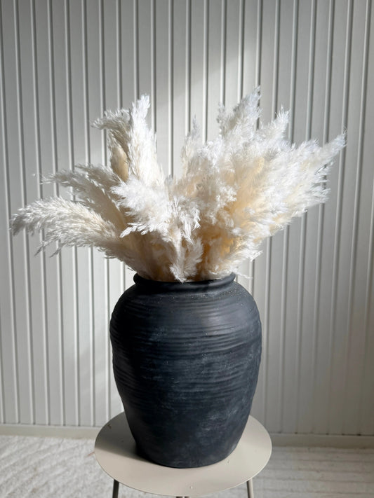 Vita Pampas 60cm (25-pack) TORRDECOR