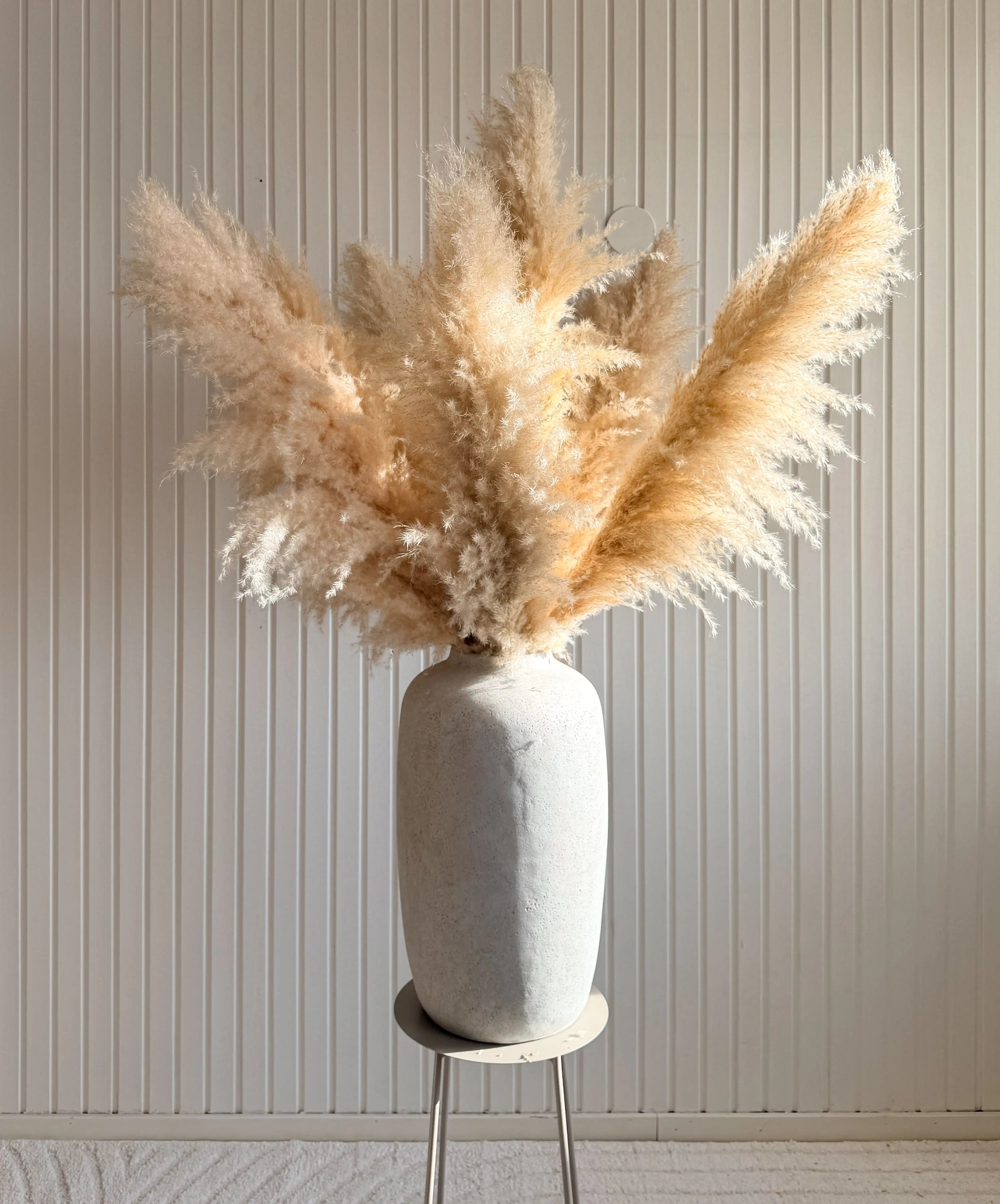 Pampas 110cm TORRDECOR