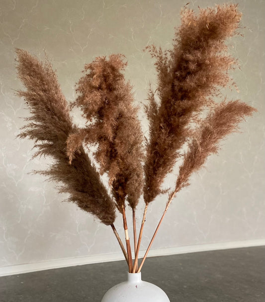 Pampas 110cm BRUN Torrdecor