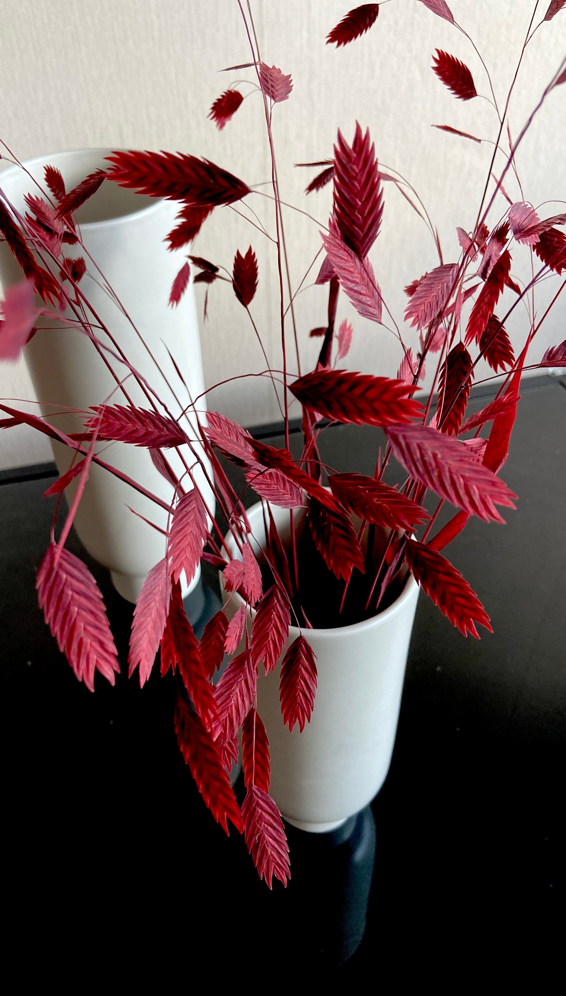 Torkad Chasmanthium – VELVET TORRDECOR