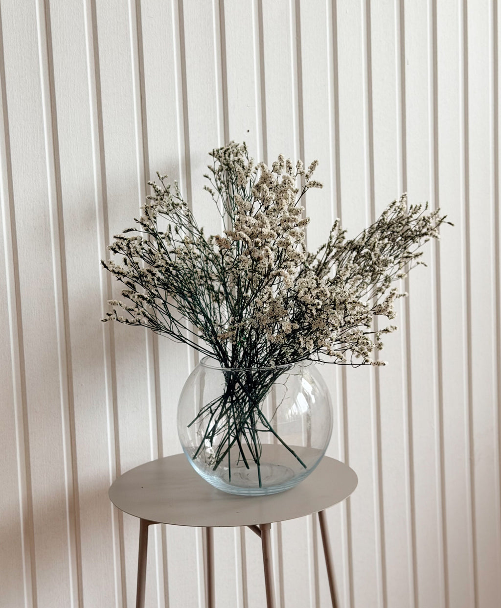 Torkad Limonium Torrdecor