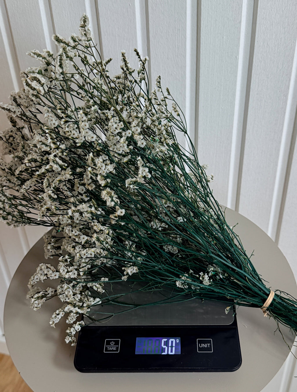 Torkad Limonium Torrdecor