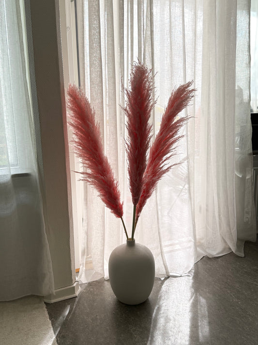 Pampas PINK 110cm