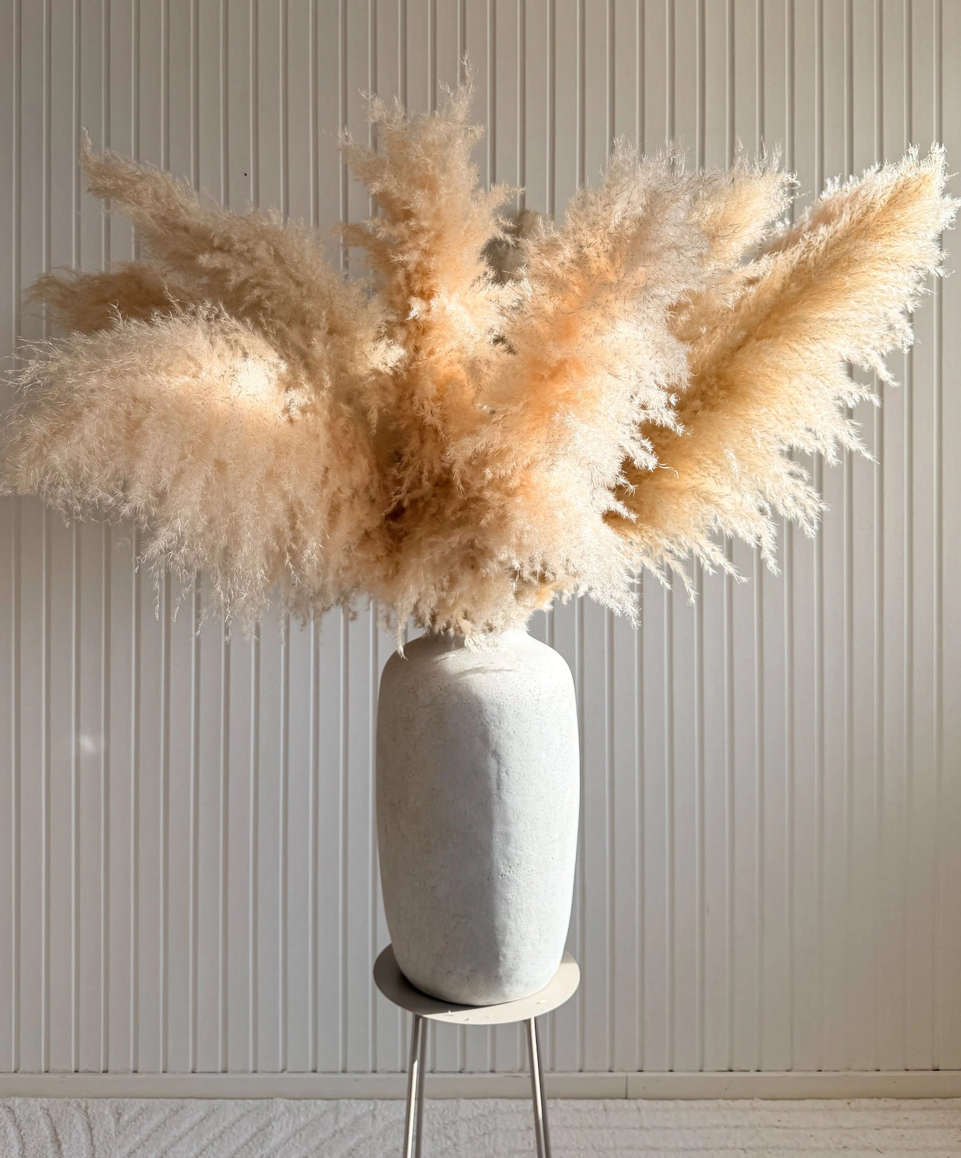 Pampas 110cm TORRDECOR