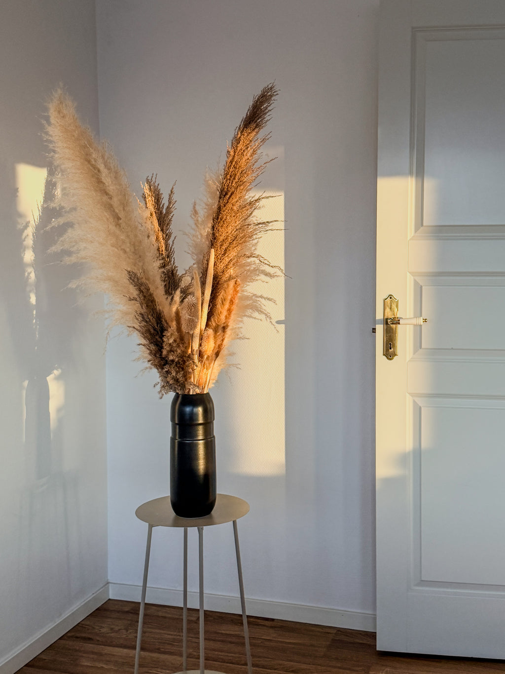 pampas mixbunt i svart vas framför vit vägg med träparkett