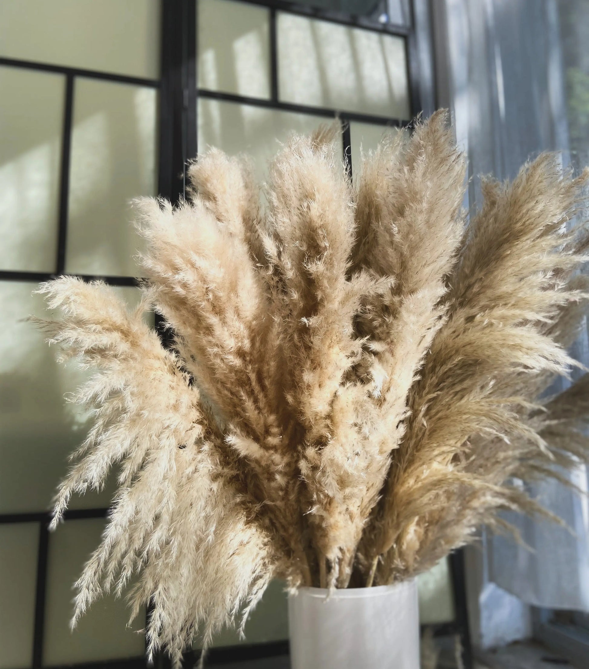 Pampas 110cm TORRDECOR