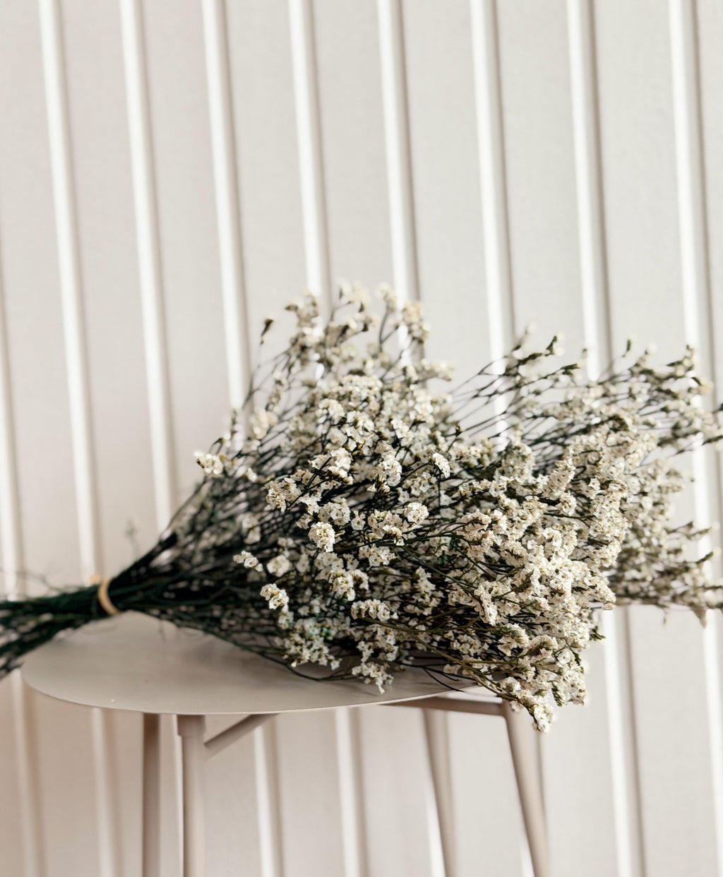 Torkad Limonium Torrdecor