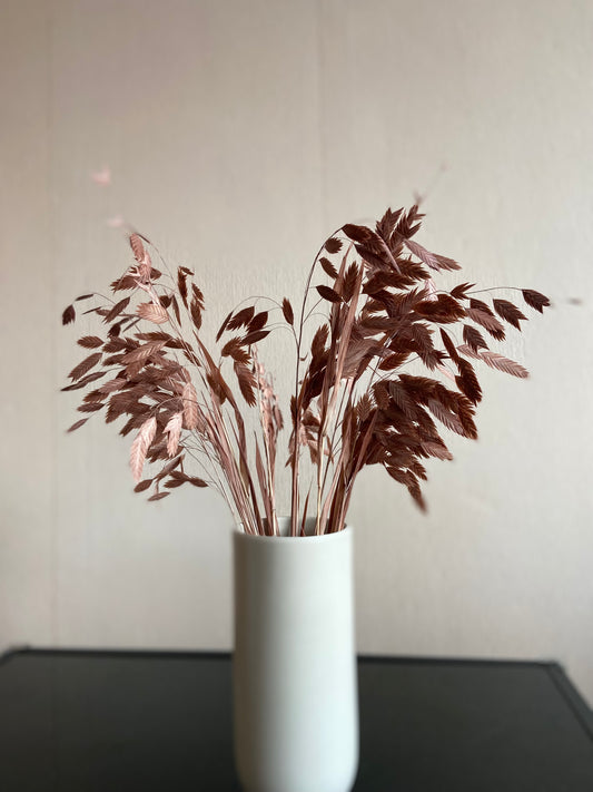 Torkad Chasmanthium – LATTE TORRDECOR