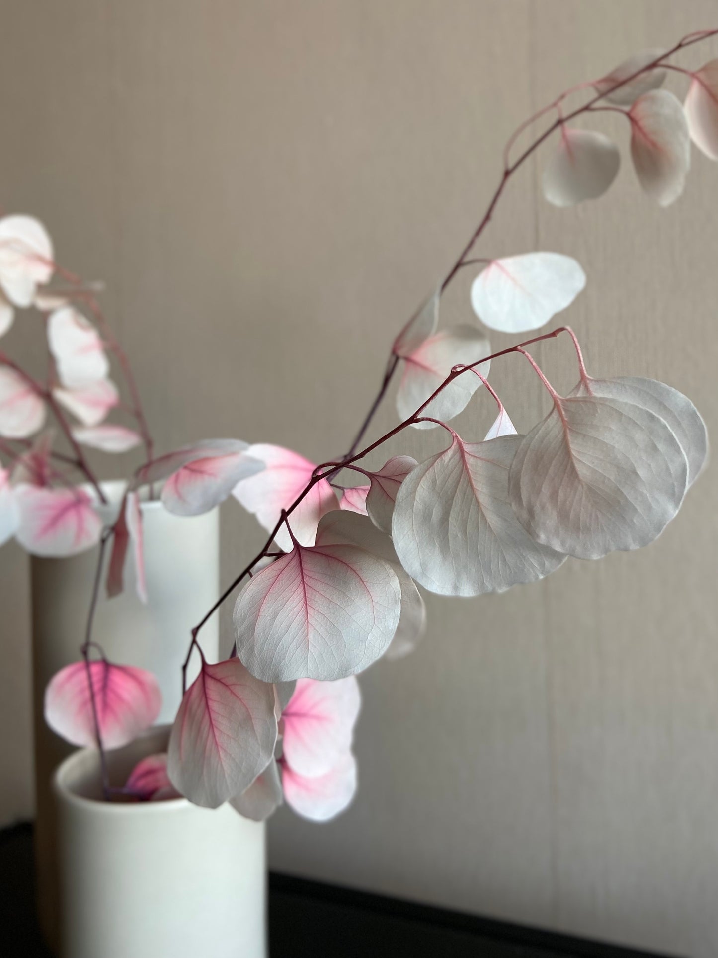 Eucalyptus-gren  'SAKURA' TORRDECOR