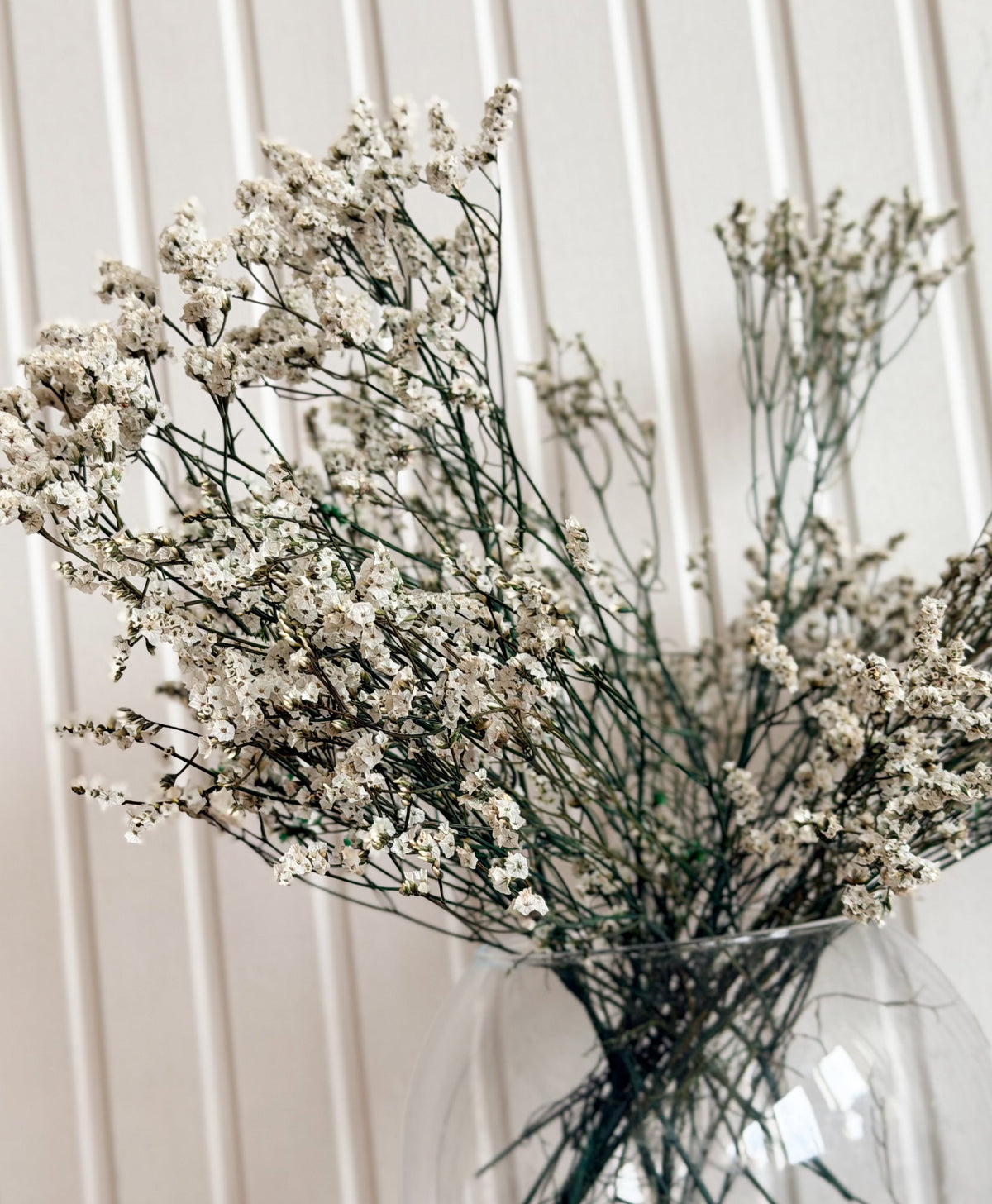 Torkad Limonium Torrdecor