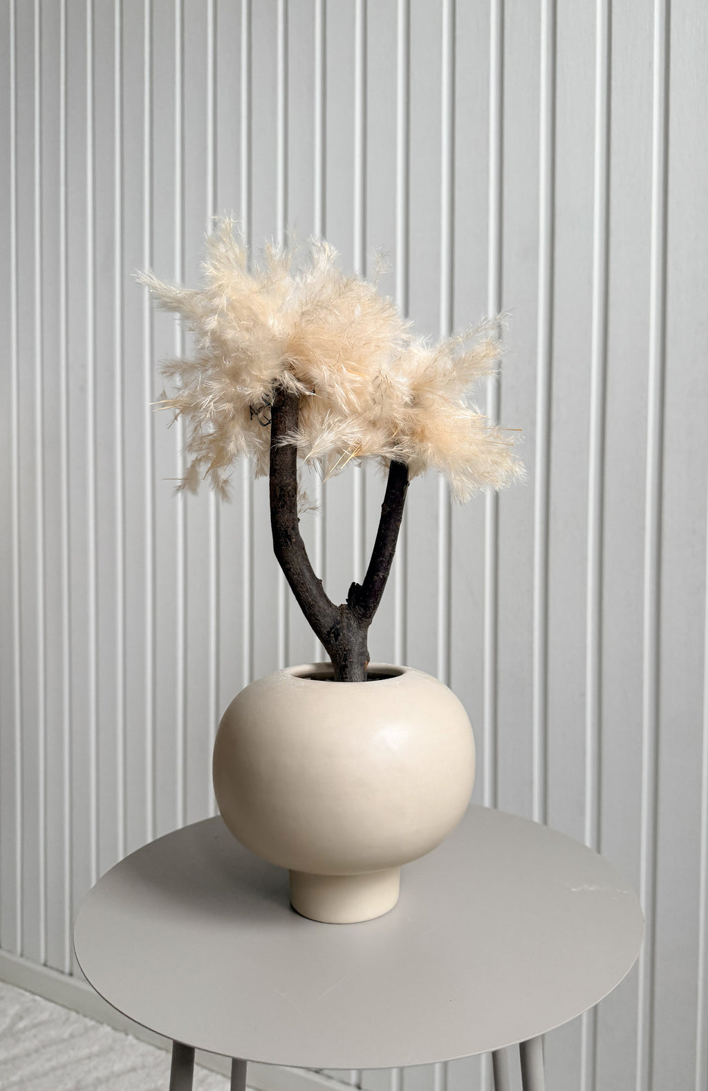 Pampasträd 25cm Torrdecor