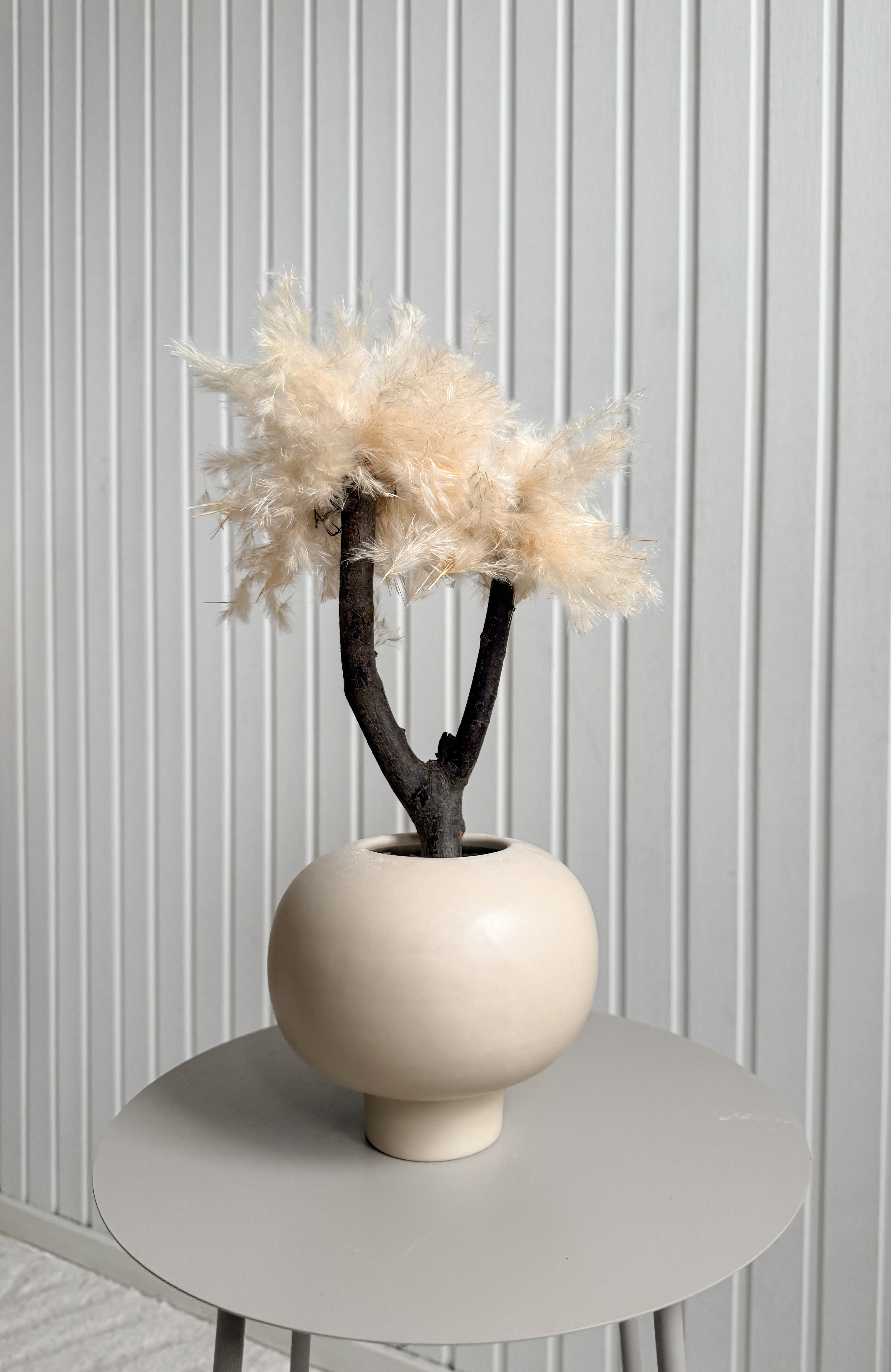 Pampasträd 25cm Torrdecor