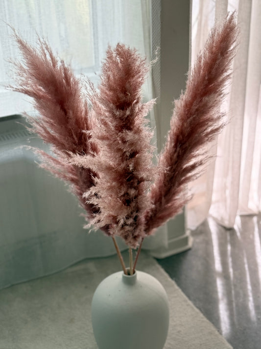 Pampas ROSE 110cm