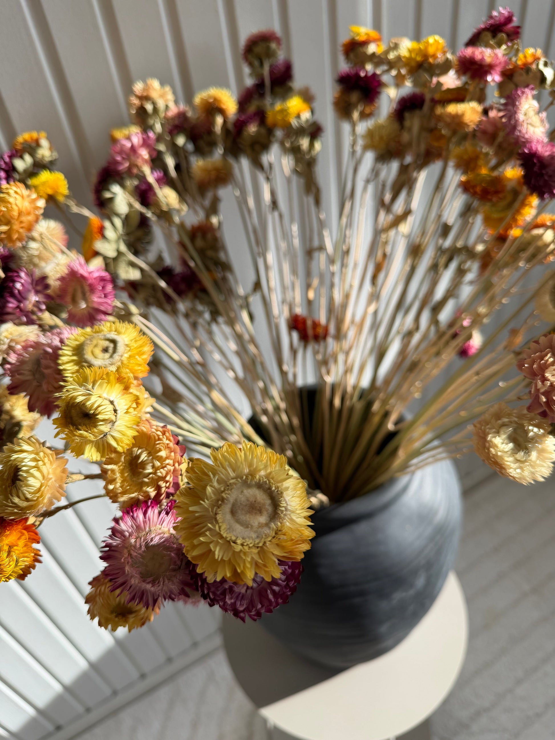 Storbunt torkad Krysantemum - 100st Torrdecor