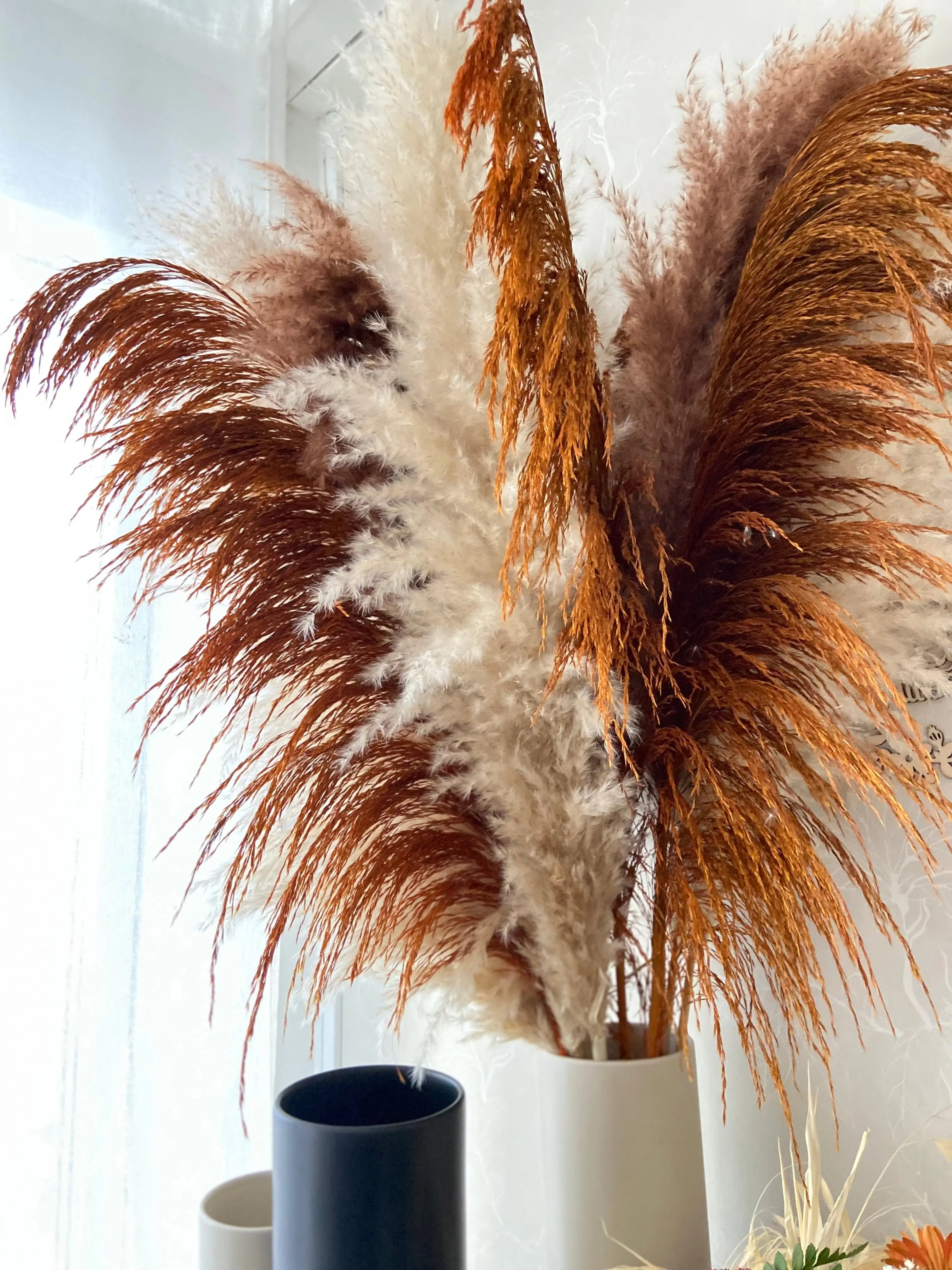 Pampas ’VILDA’ Höst -5pack TORRDECOR