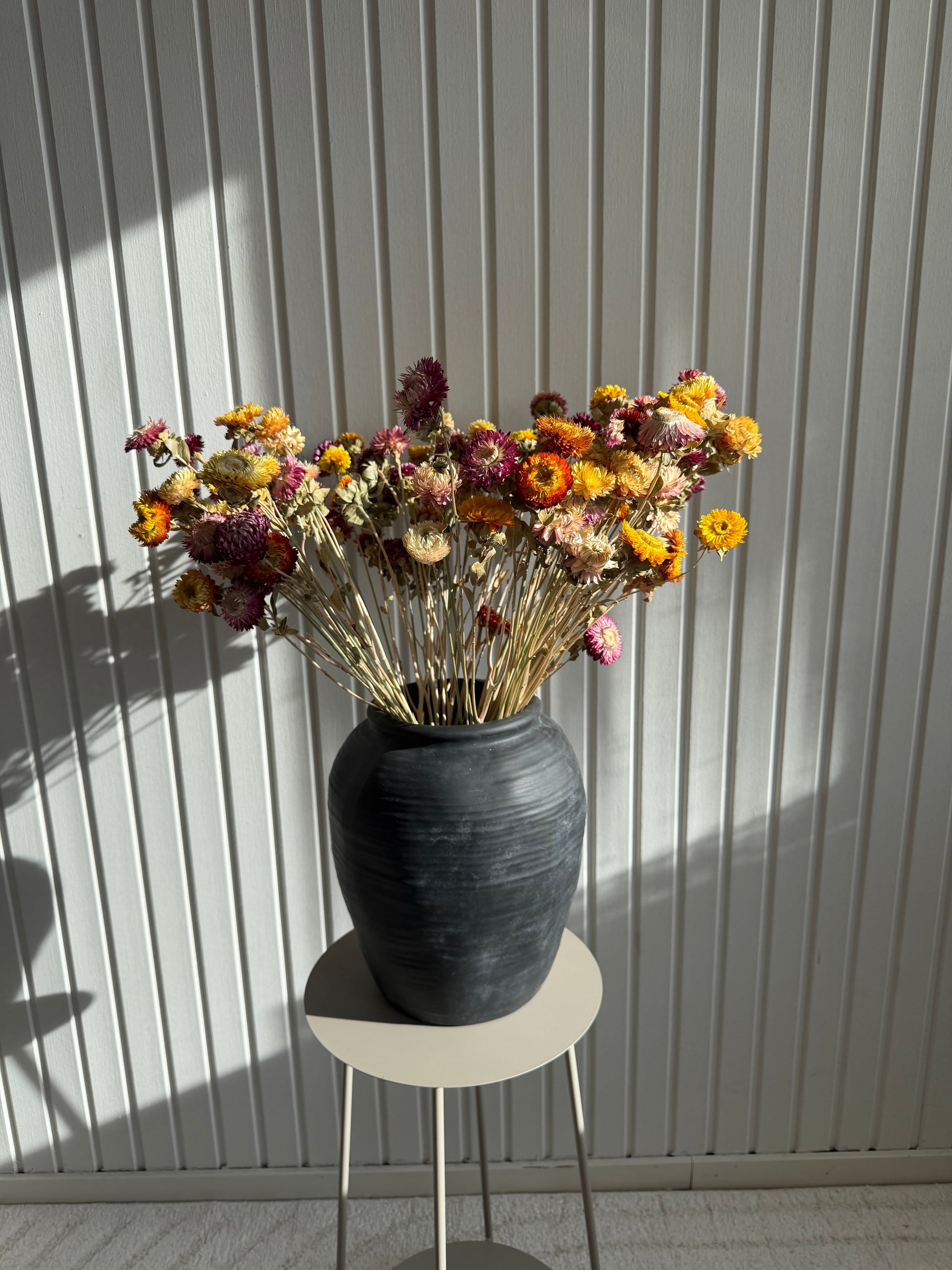 Storbunt torkad Krysantemum - 100st Torrdecor