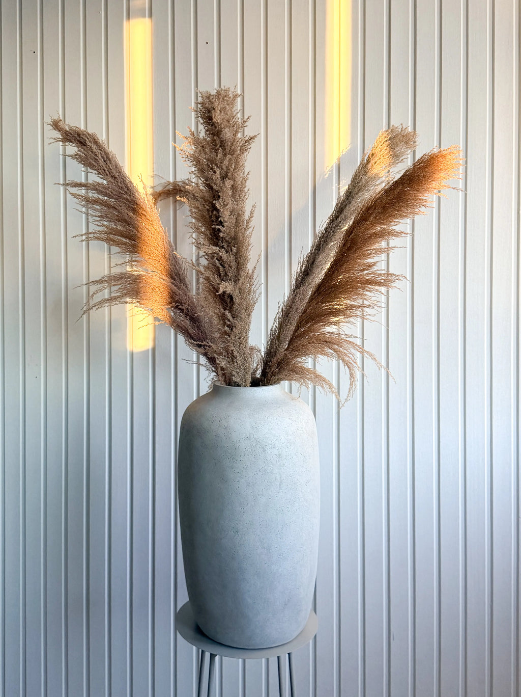 Pampas ’VILDA’ 110cm TORRDECOR