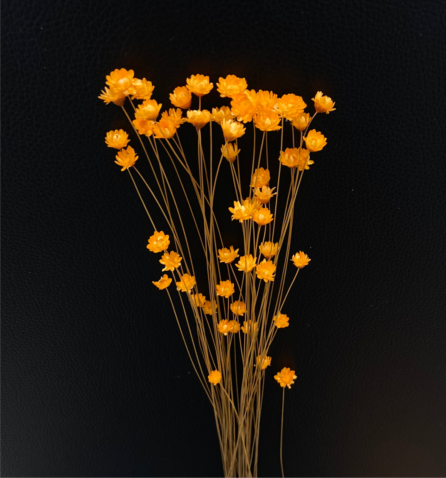Torkade småblommor TORRDECOR